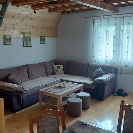 Vila Daniela Zaovine Luaran gambar